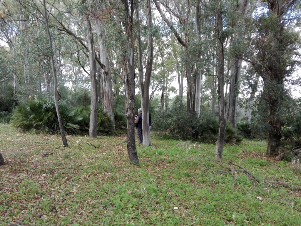 186 .jpg